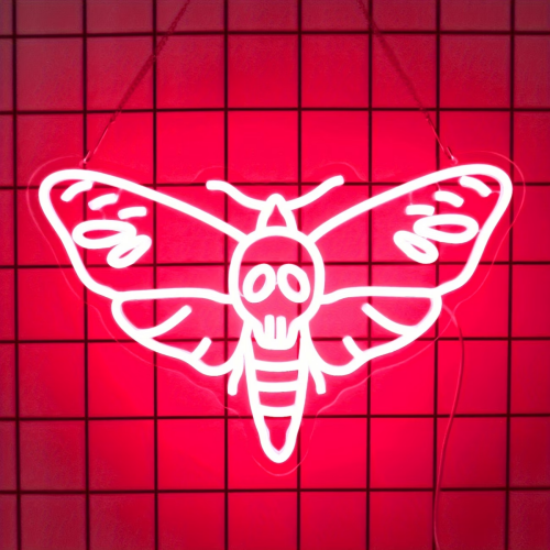 image113b1cf02db4c87632d.png