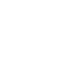 csslogo2.png