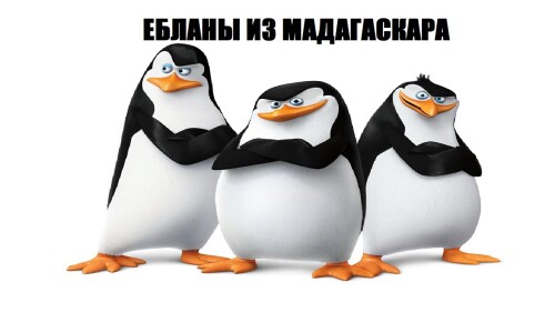 maxresdefault-1.jpg