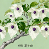 6bcf487e2071c9bacbcfe8f6cecc78b1
