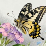 96e8602321cc77cf2b5424d700b14fb6