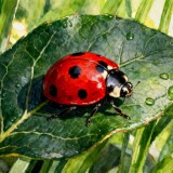 b9df49e0c670578c7a05d762f247e5b2