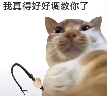 6fed9da6037c673d157dc738db406a1a.jpg