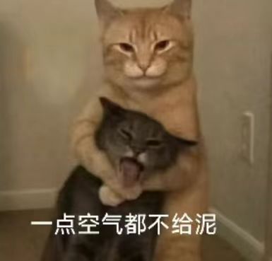 ecaa556beeb3f9aadb6826ef9f1fc329.jpg