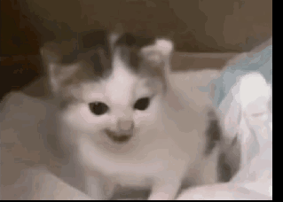 288948DEDE4413DB31CC8EE1FDC3DE91.gif