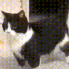 A122A98522A78C92EBD1DDCFC4EFF4C1.gif