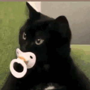 D562B9519B67B391C52450F823F579DF.gif