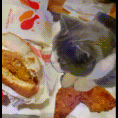 ECE8F355E51FEDD69AEFA13E66C78EE3.gif