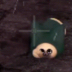 F02E0540546D06B773D4D2A81C19BE40.gif