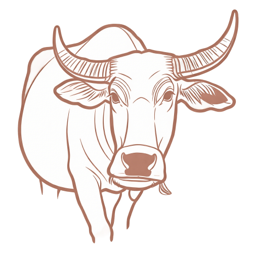 2-Bubalus-bubalis.png