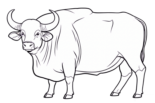 5-Bos-gaurus6.png