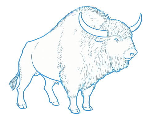 6-Bison-priscus.png