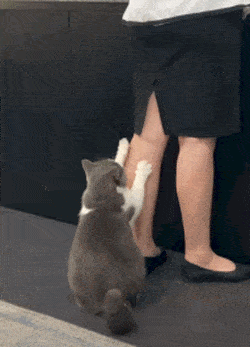 640-12.gif