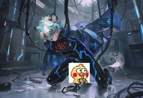 3.jpg