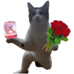 1B84E095A3C74012ED906253AB3D611F.png