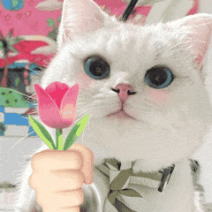A0866F7CC87E73E109CE89475F8D57A3.gif