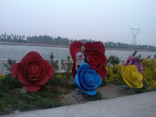 IMG_20130526_191332.jpg