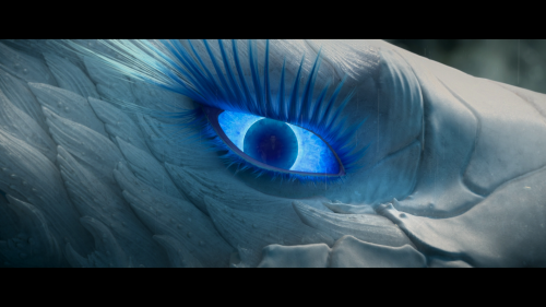 6756abcf12853.png