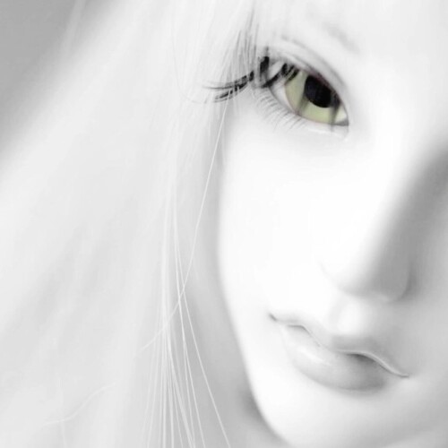 img-1722791365279ab3247514378250e6f08c2a1bcee390ab5386db9a0e2cb88218c9f8fabdb6375.jpg