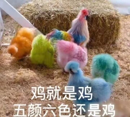 jijiushiji.jpg