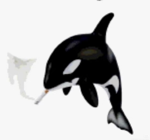 1000053143.png