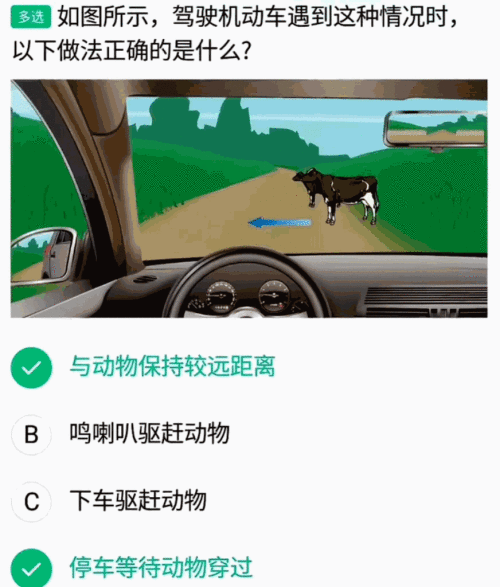 640-12.gif