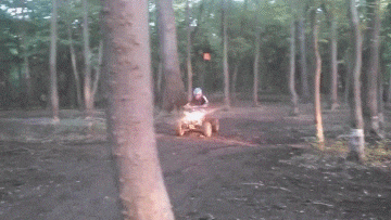 640-3.gif
