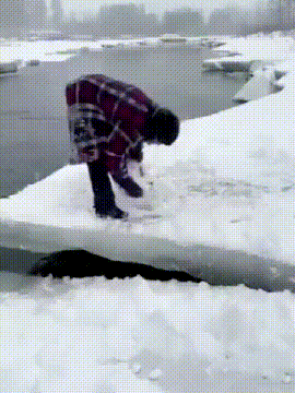 640.gif