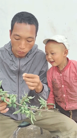 580d27fc7154ced619e05e6b4dc73e04376809906.gif