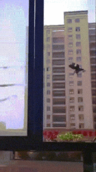 640-18.gif