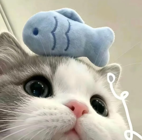 1000053450.png