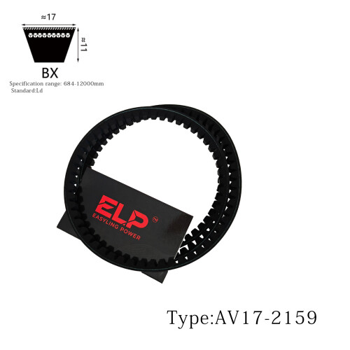 AV17-2159.jpg