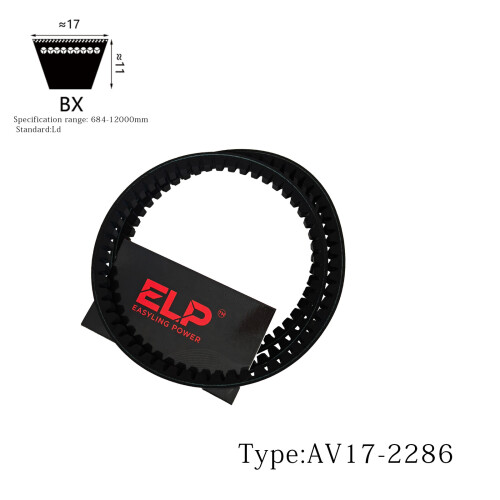 AV17-2286.jpg