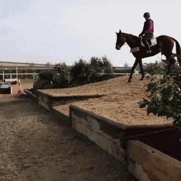 640-3.gif