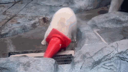 640-4.gif