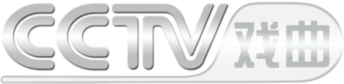 CCTV.png