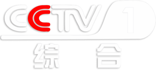 CCTV1.png