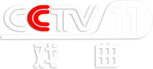 CCTV11.png