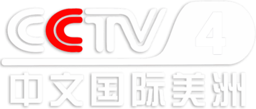 CCTV4.png