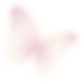 1000055894