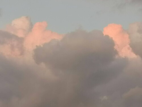 img294725.jpg