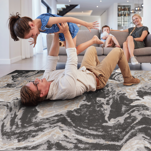 area-rug-1.png
