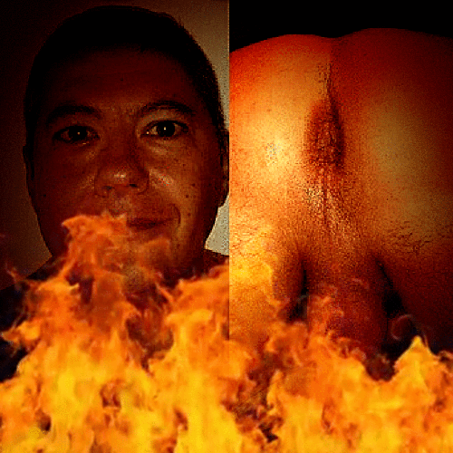 ass-e.gif